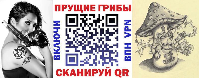 Псилоцибиновые грибы мухоморы  где продают   Новозыбков 