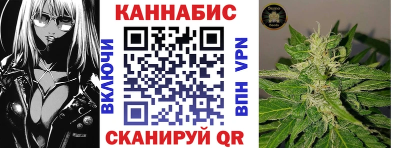 KRAKEN ONION продажа наркотиков Новозыбков Канабис гибрид